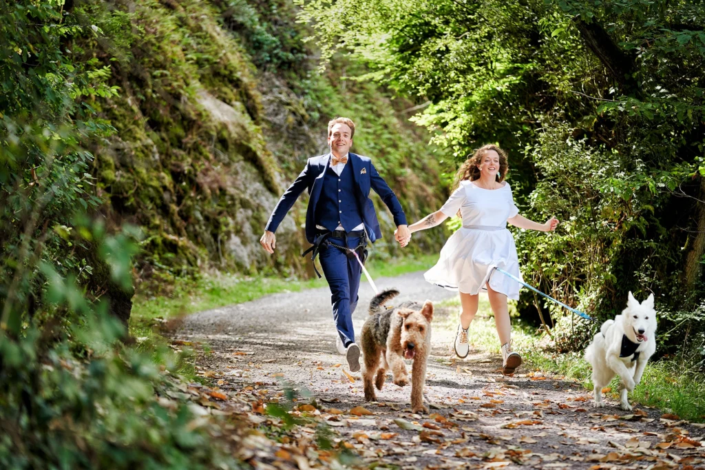 Couple de mariés, en forêt, chiens